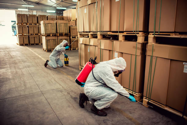 Best Affordable Pest Control Services  in Windermere, FL