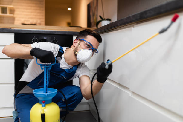 Best Termite Control Services  in Windermere, FL