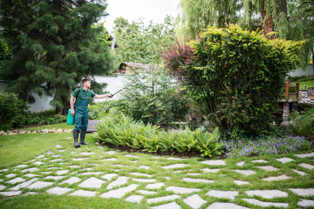 Best Local Pest Control Services  in Windermere, FL