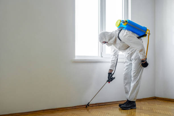 Best Wasp Removal Services  in Windermere, FL