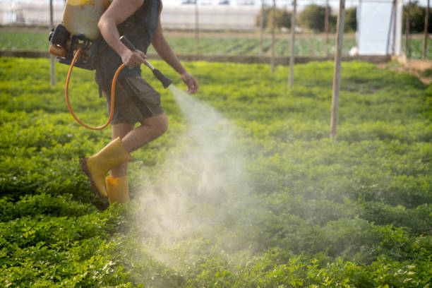 Best Best Pest Control Companies  in Windermere, FL