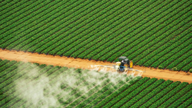 Reliable Windermere, FL Pest Control Solutions