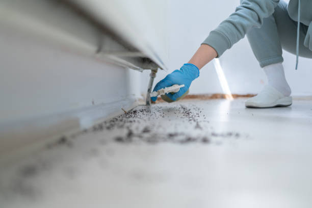 Best Best Pest Control Companies  in Windermere, FL