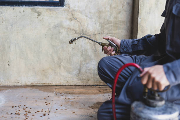 Best Pest Removal Services  in Windermere, FL
